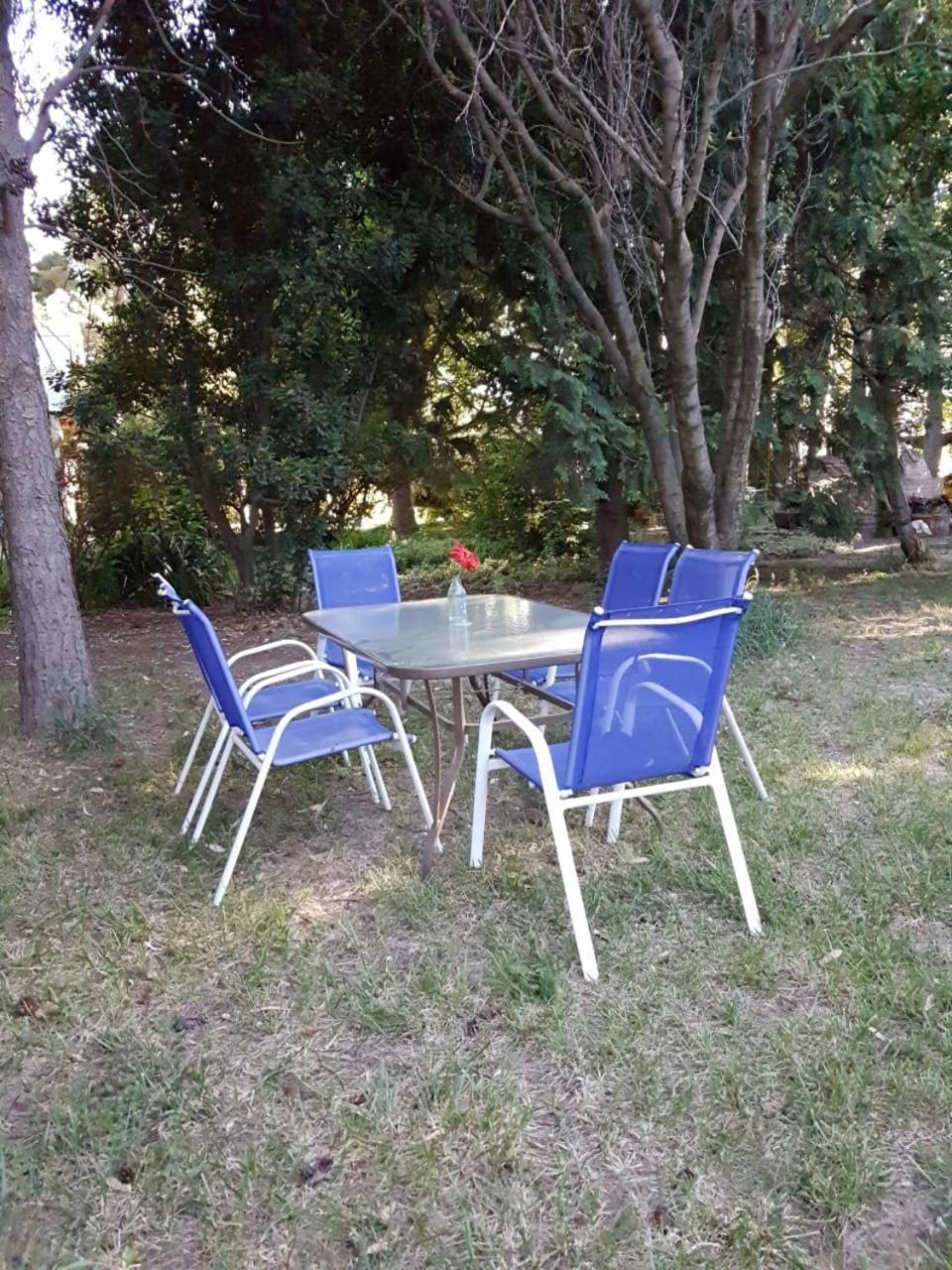Casa De Campo Flor Dorada 岑特纳里奥 外观 照片